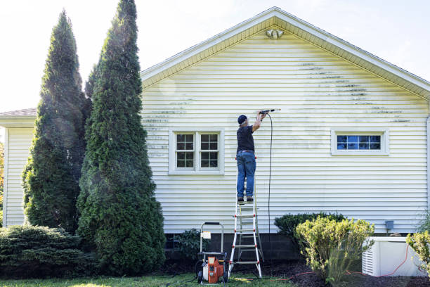 Best House Exterior Washing  in Romeovle, IL